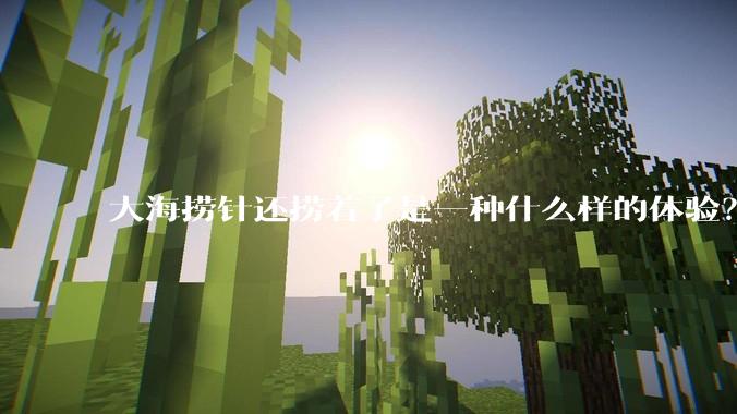 大海捞针还捞着了是一种什么样的体验？